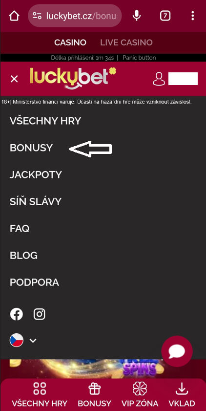 Bonusové promo akce v casinu Luckybet