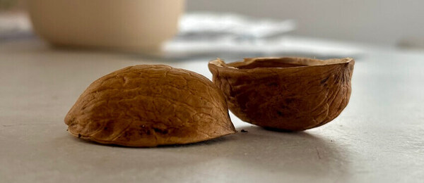 Skořápky jsou legendární hazardní hra, ve které se však téměř nedalo vyhrát.