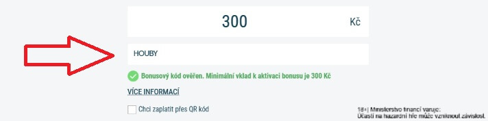 Ověření platnosti promo kódu HOUBY